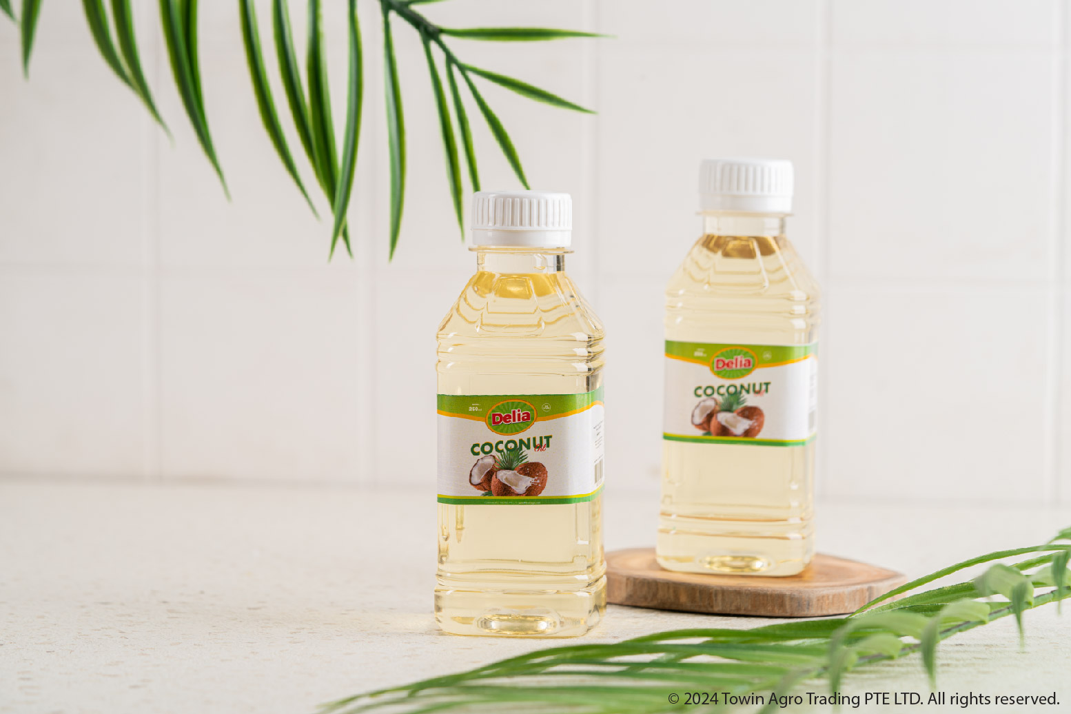 Coconut Oil
